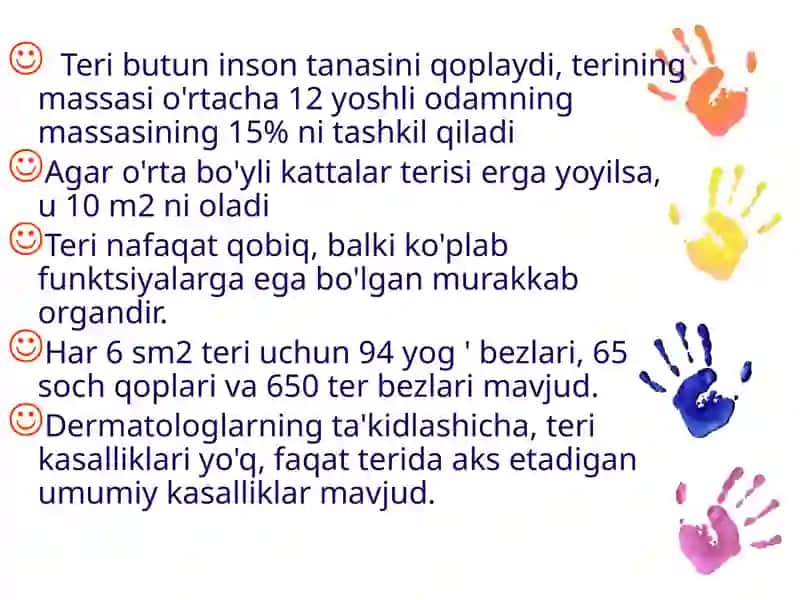 Terianalizator 3
