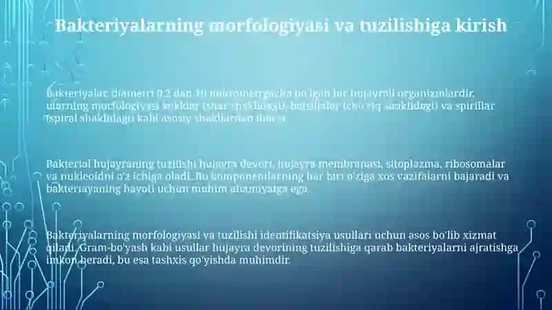 Bakteriyalarning morfologiyasi va tuzilishi 3
