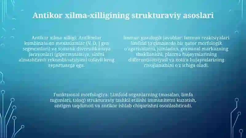 Immun Himoya Reaksiyalarining Morfologik Asoslari 3