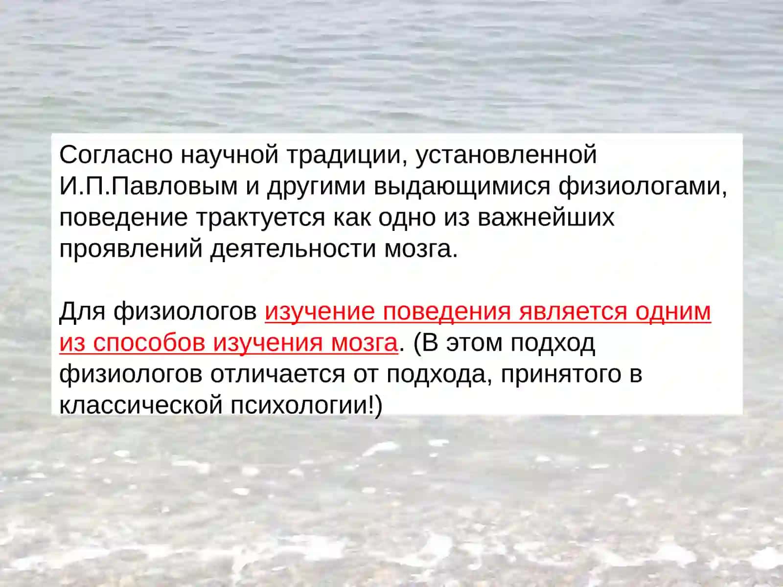 Физиология высшей нервной деятельности 3