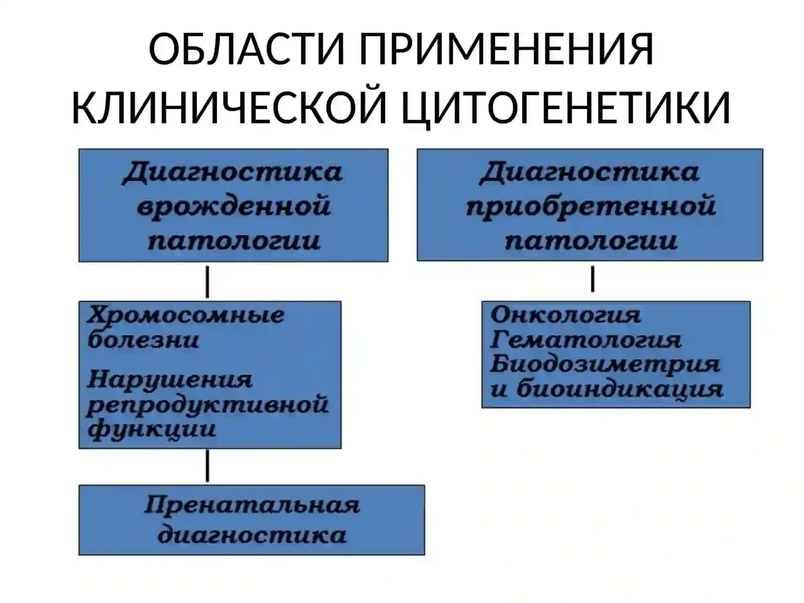 Цитогенетика - раздел генетики 3