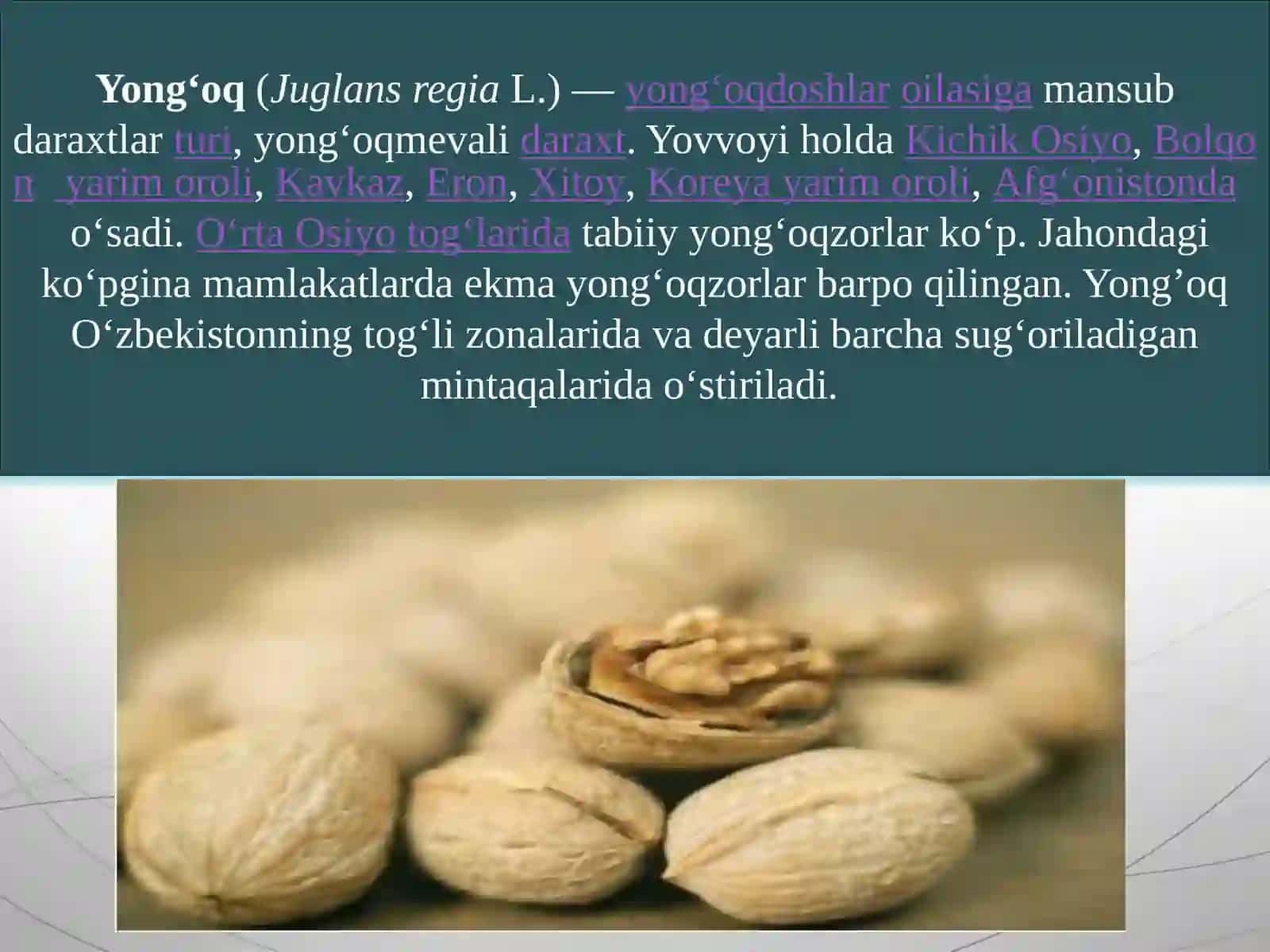 Yong’oq gullilari qabilasi. Juglandales 3
