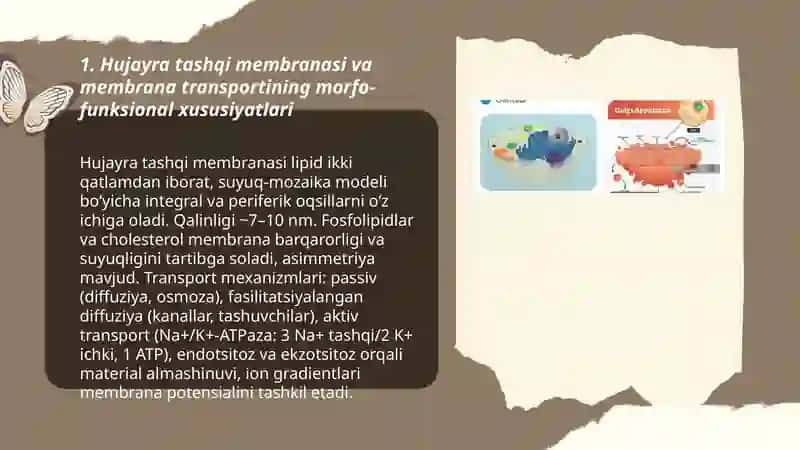 Hujayra tuzulushi hujayra nazaryasi hayvon va odam xromosomalarining morfo funksional xarektrikasi 3