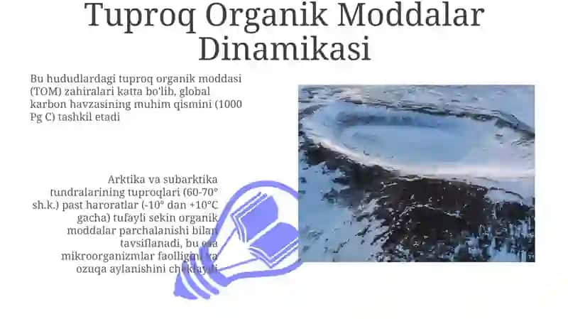Arktika va subarktika tundra tuproqlari 3