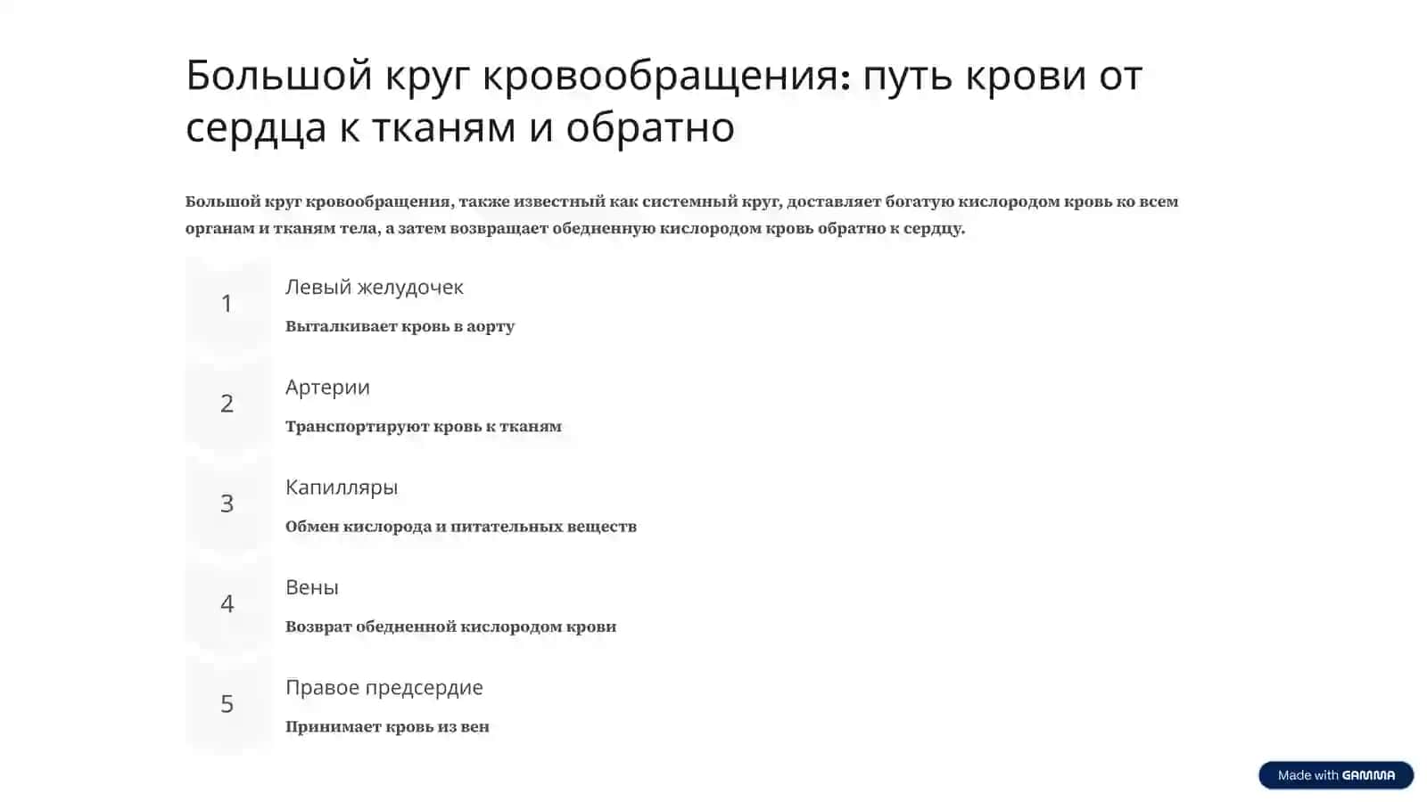 Система кровообращения: морфология и функции 3