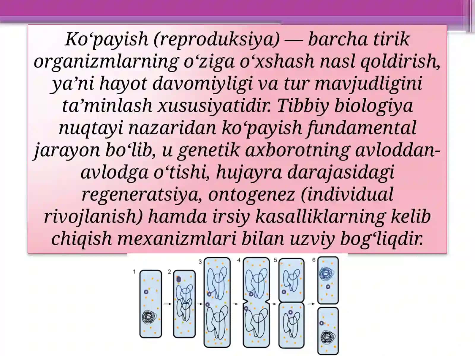 Ko‘payish va uning turlari 3