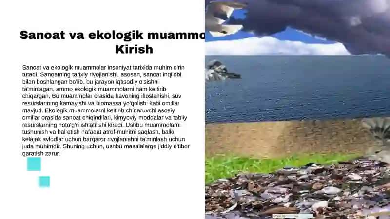 Sanoat ishlab chiqarishning ekologik barqarorligi 3