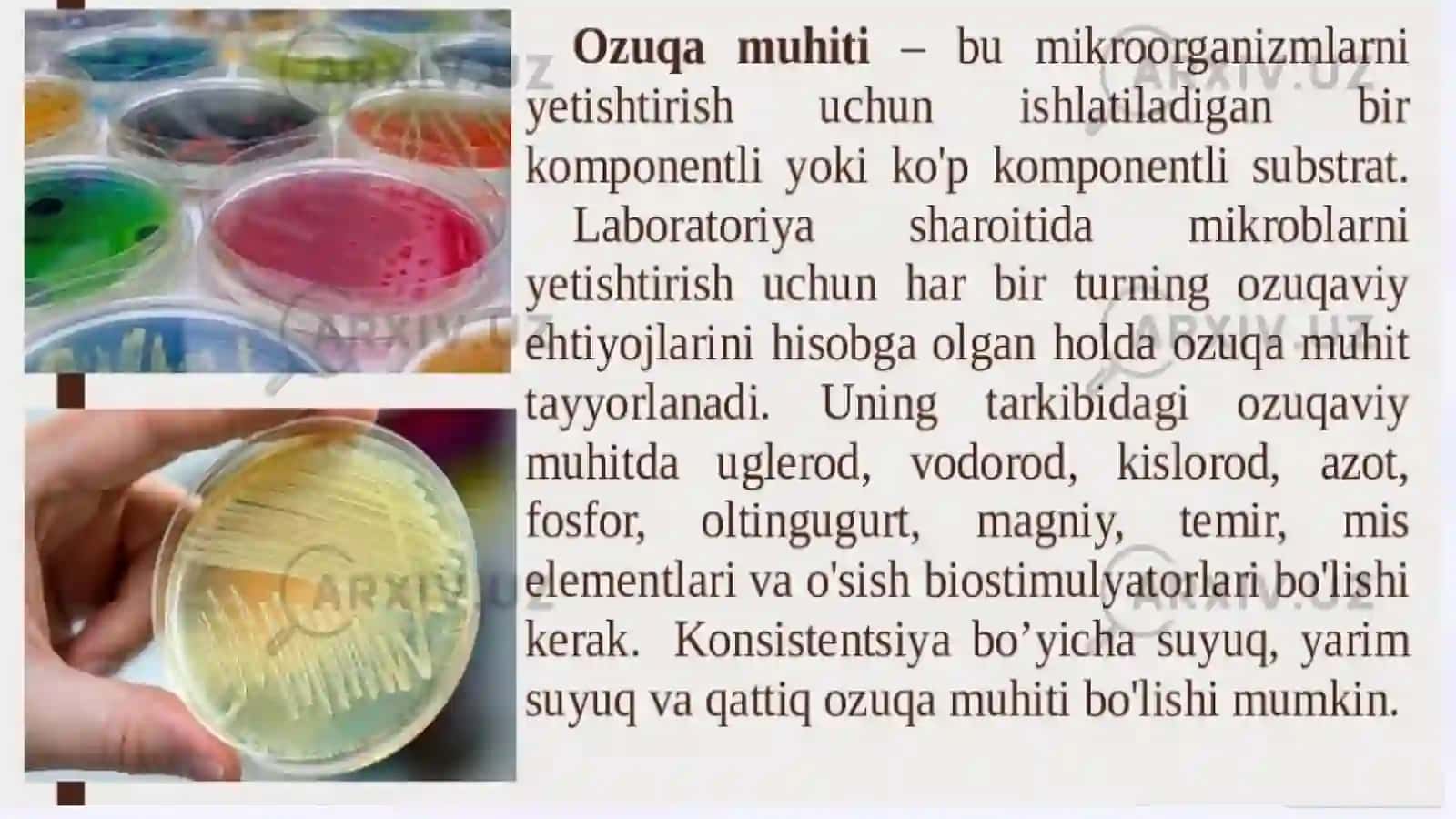 O'simlikva hayvon hujayralari uchun ozuqa muhitlari 3