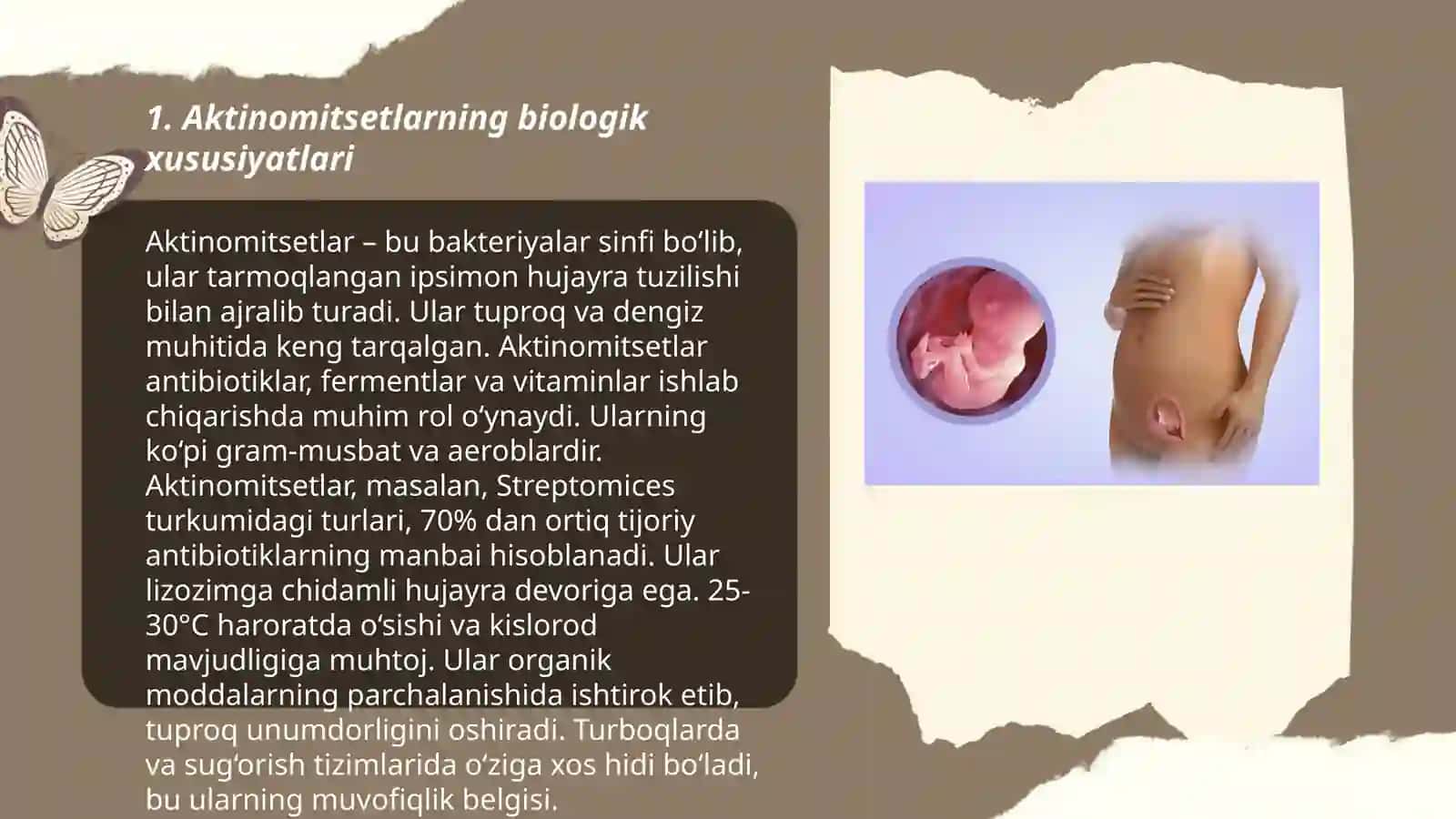 Aktinomitsetlar va ularga yaqin organizmlar 3