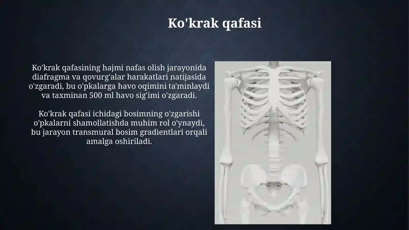 Burun bo‘shligining tuzilishi Xiqildoq. Kekirdak, bronxlar, o‘pka. Plevra. Ko‘ks 3