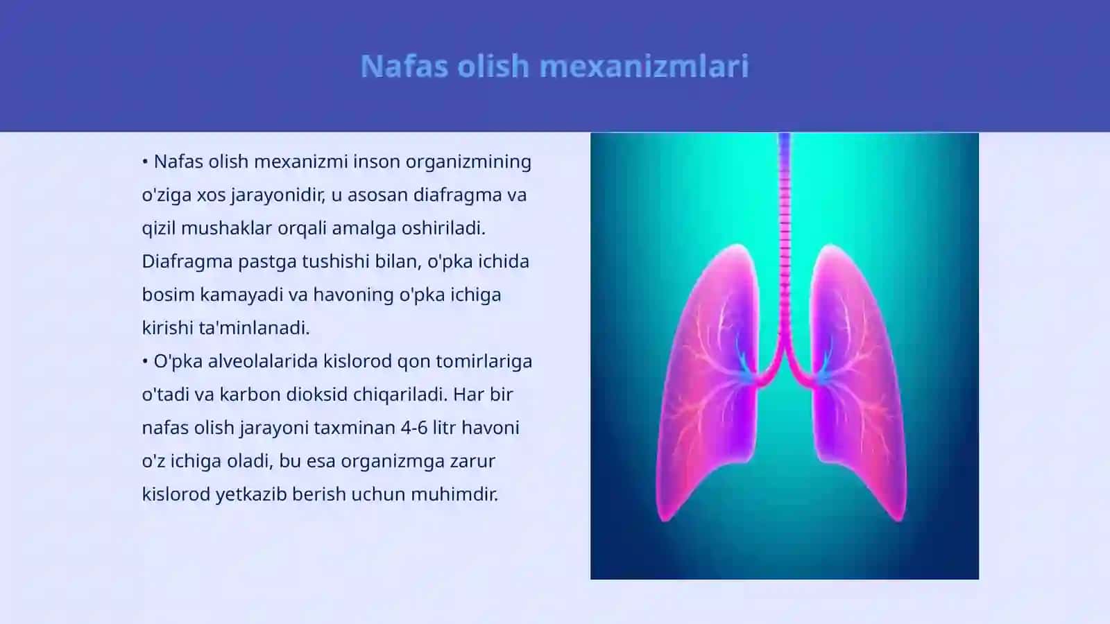 Nafasni idora etilishi 3