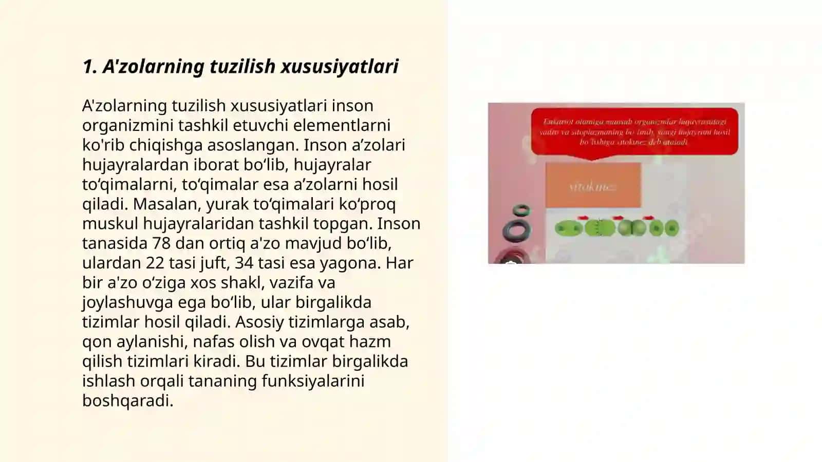 A'zolarning tuzulishi va mohiyati 3