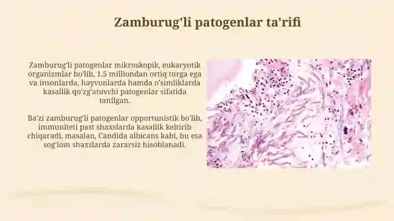 Zamburug'li kasalliklar: turlari, belgilari va tarqalish yo'llari 3