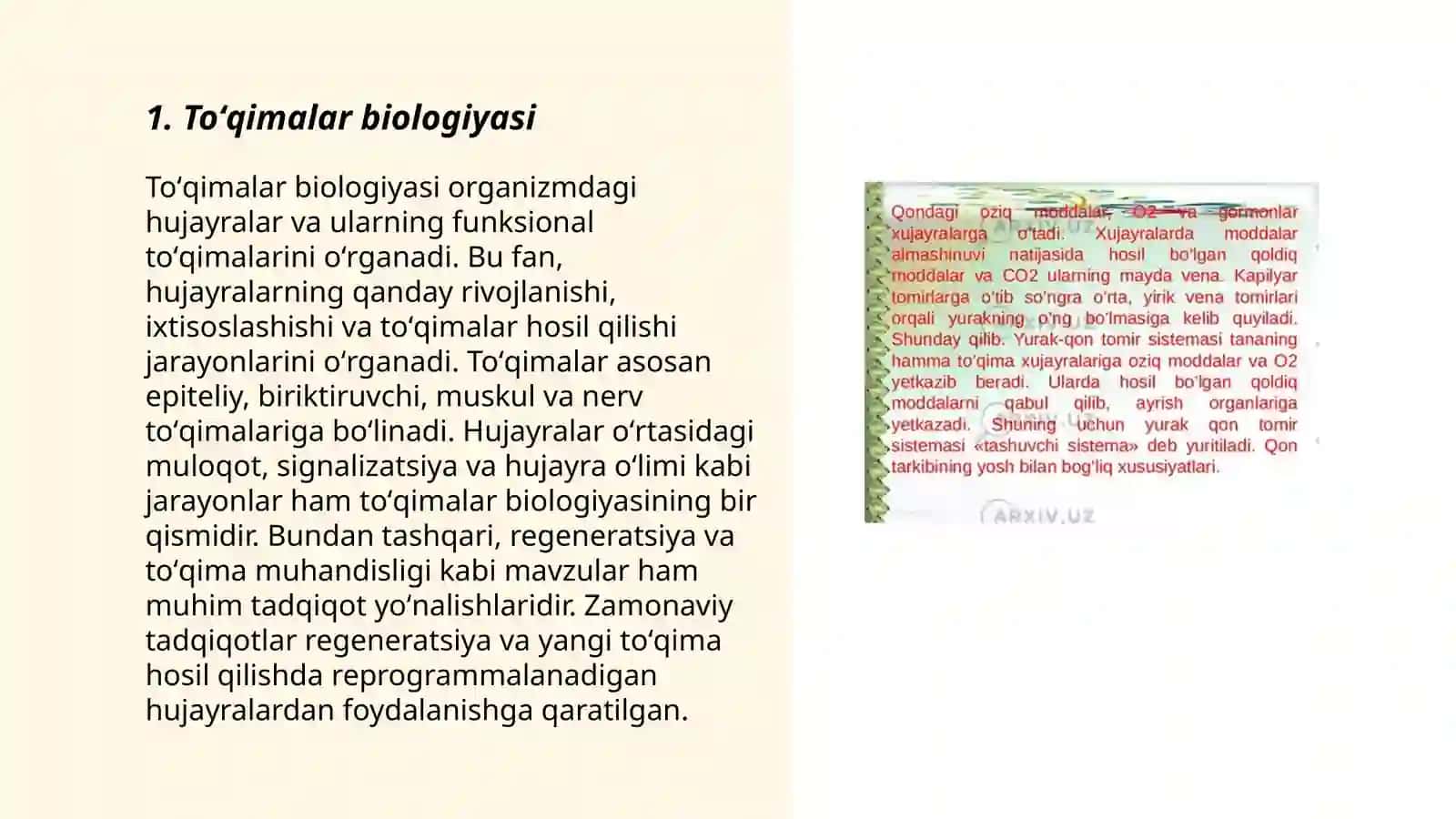 Toʻqimalar ularning turlari va vazifalari 3