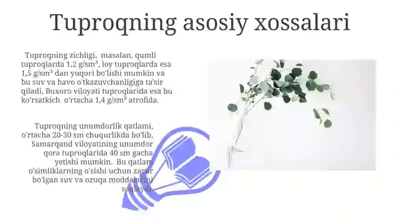 Yerga asosiy ishlov berish usullarining tuproq xususiyatlari va oʻsimliklarni rivojlanishiga taʼsiri 3