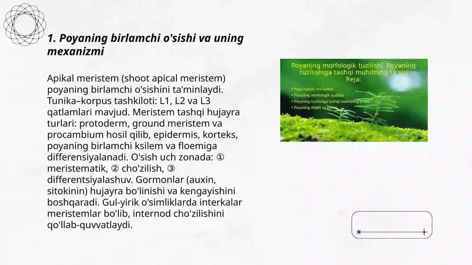 Poyaning birlamchi va ikkilamchi tuzilishi 3