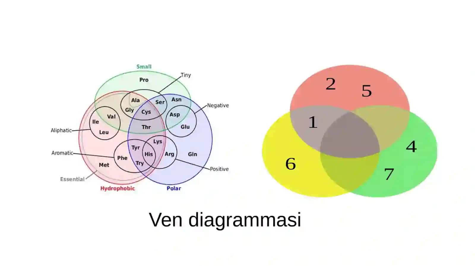 Ven diagrammasi 3