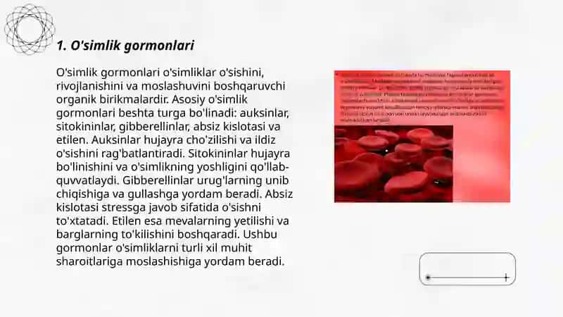 In vitroda morfogenezga ta'sir etuvchi omillar 3