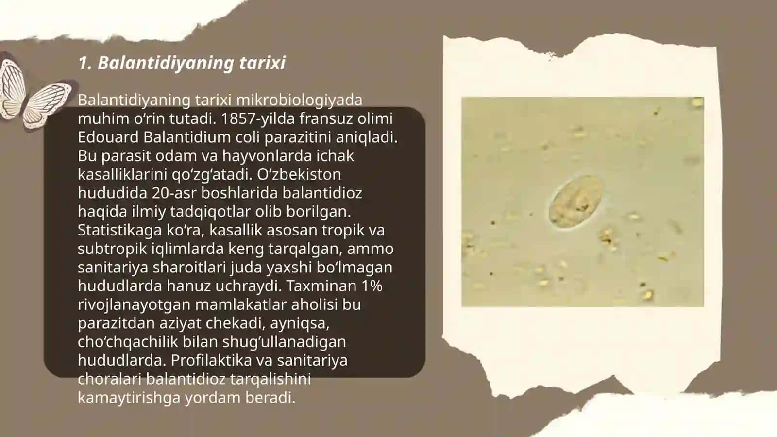 Ichak parazitlari.Balantidiya 3
