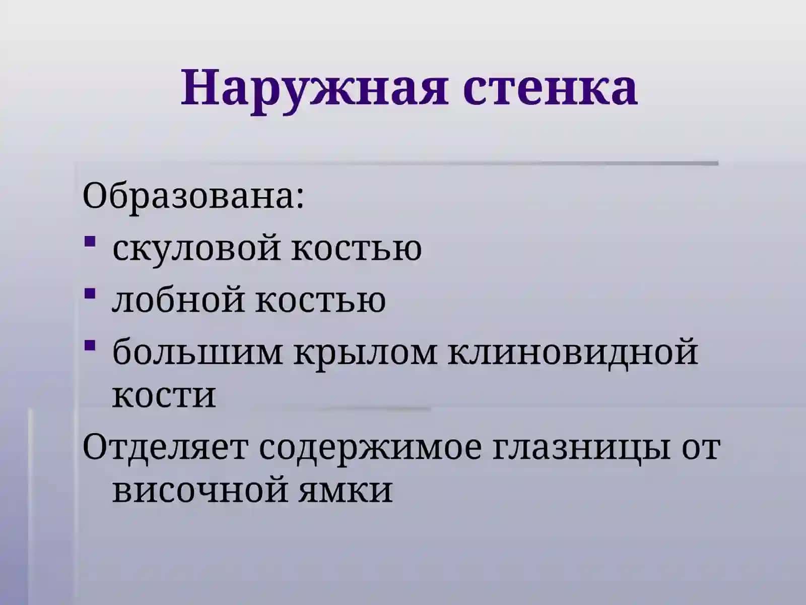 Анатомия органа зрения 3