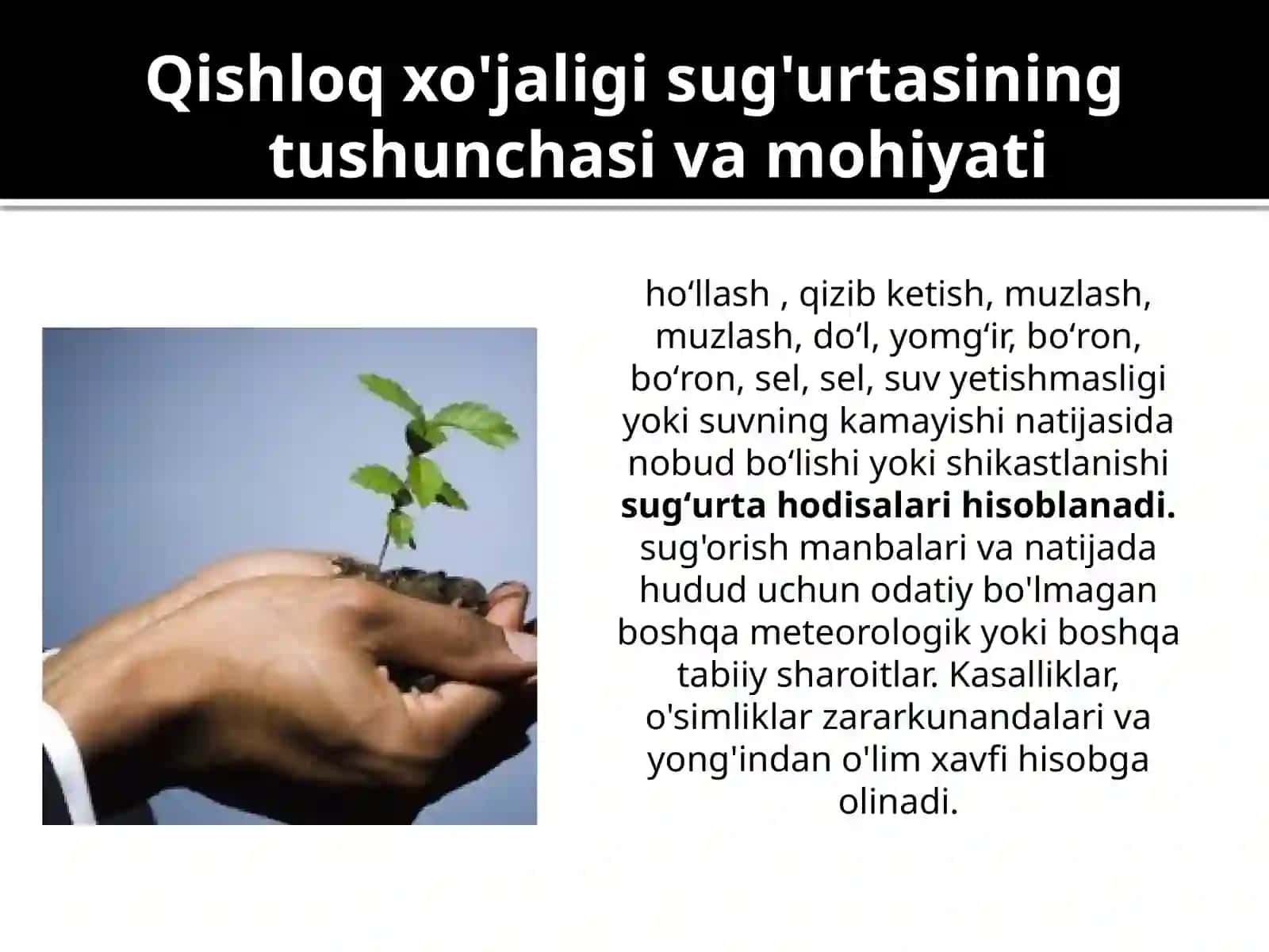 Qishloq xo'jaligi sug'urtasi 3