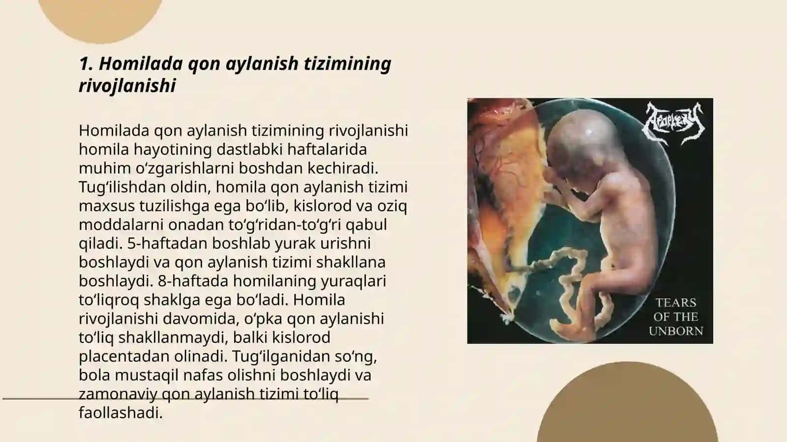 Homilada qon aylanishining oʻziga xos xususiyatlari 3