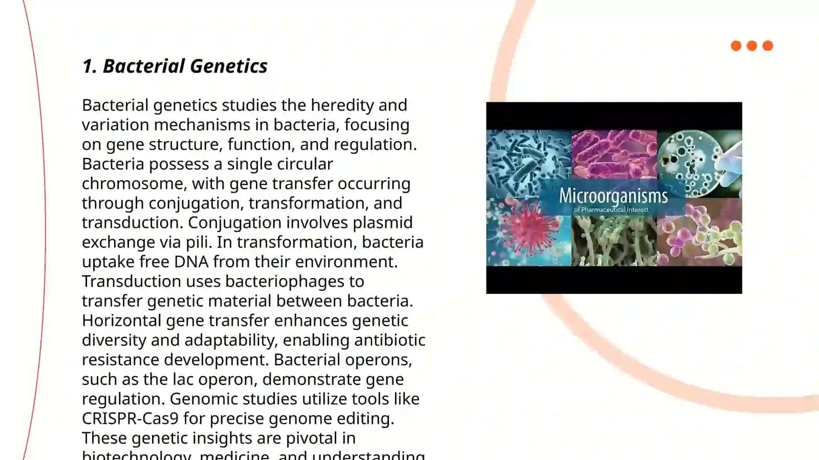 Bacterial Genetics 3