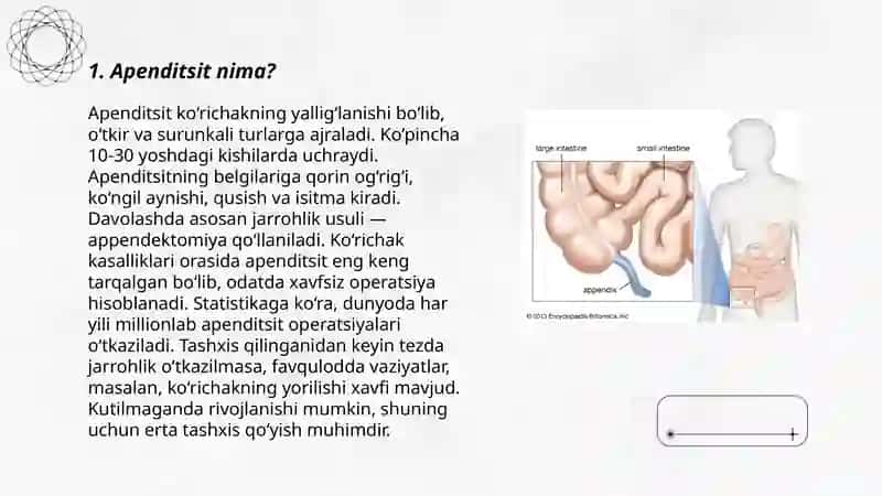 Apenditsis 3
