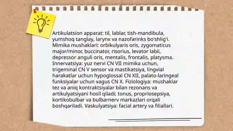 Artikulyatsion apparat va mimika mushaklari harakatchanligini rivojlantirish texnologiyalari 3