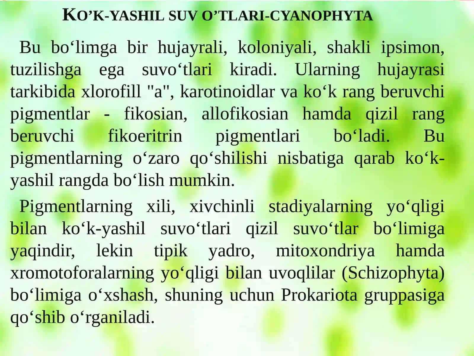 Ko’k-yashil suv  o’tlar 3