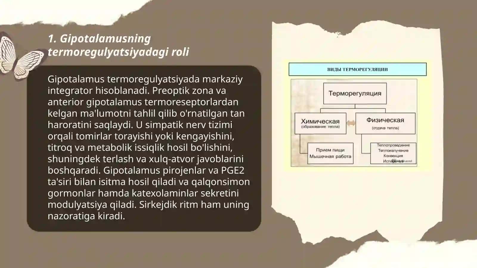 Termoregulyatsiya fizologiyasi 3