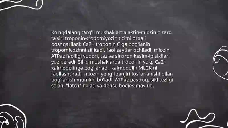 Silliq va ko'ngdalang targ'il mushaklar fiziologik farqlari 3