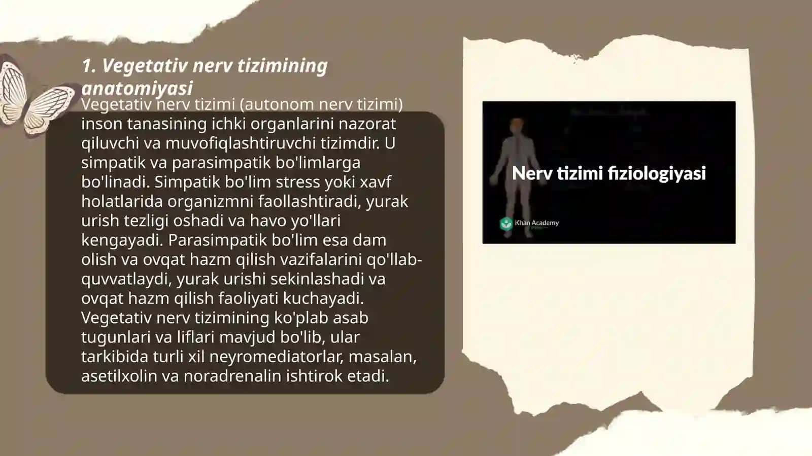 Vegetativ nerv tizimining tuzilishi 3