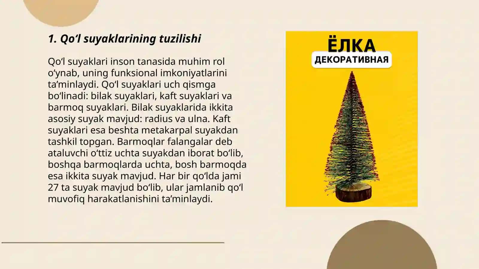 Qo‘l va elka kamarini suyaklarini tuzilishi, ko‘krak, o‘mrov, ko‘krak suyaklari turini o‘rganish 3