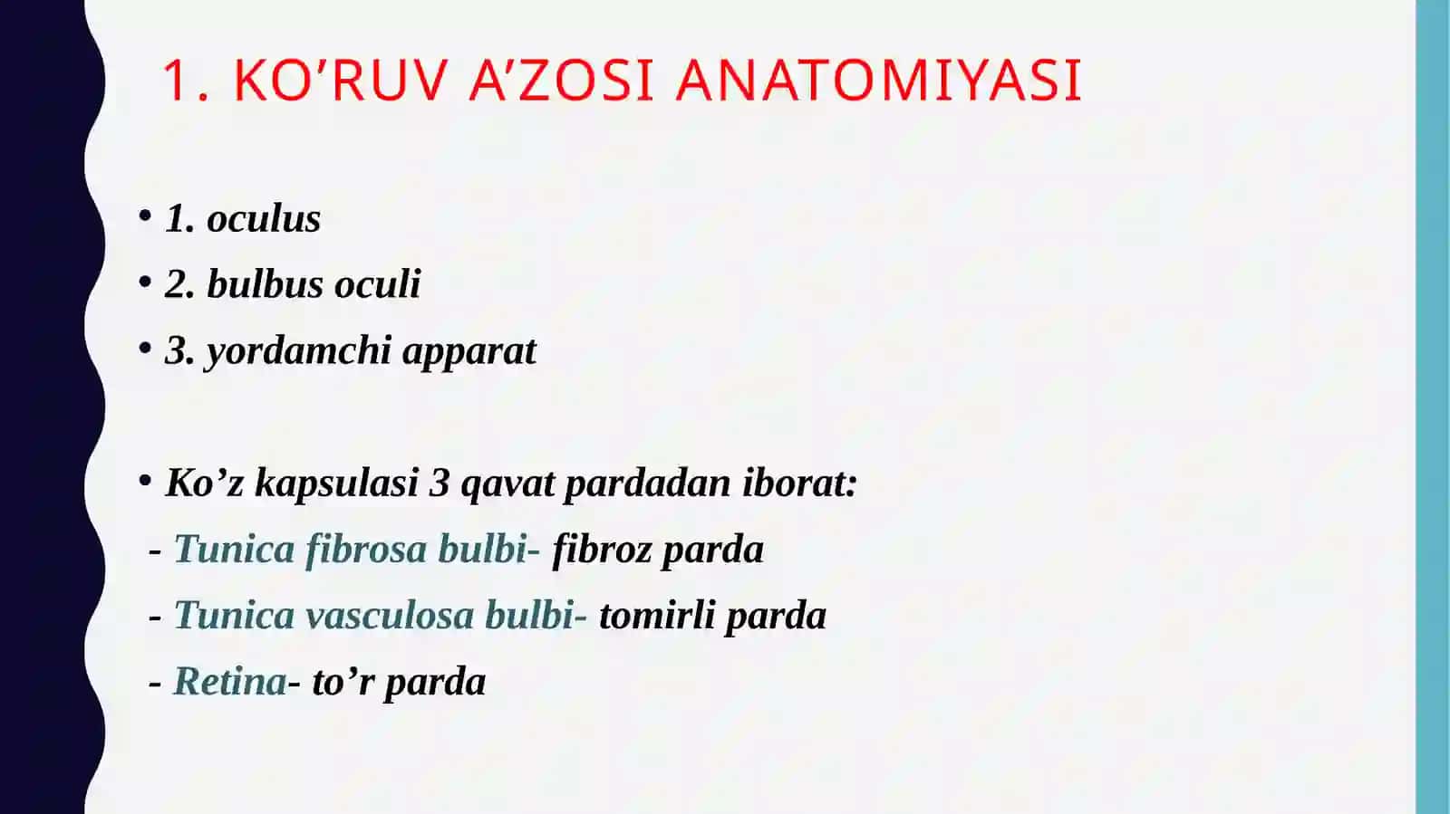 Ko’ruvtizimianalizatori 3