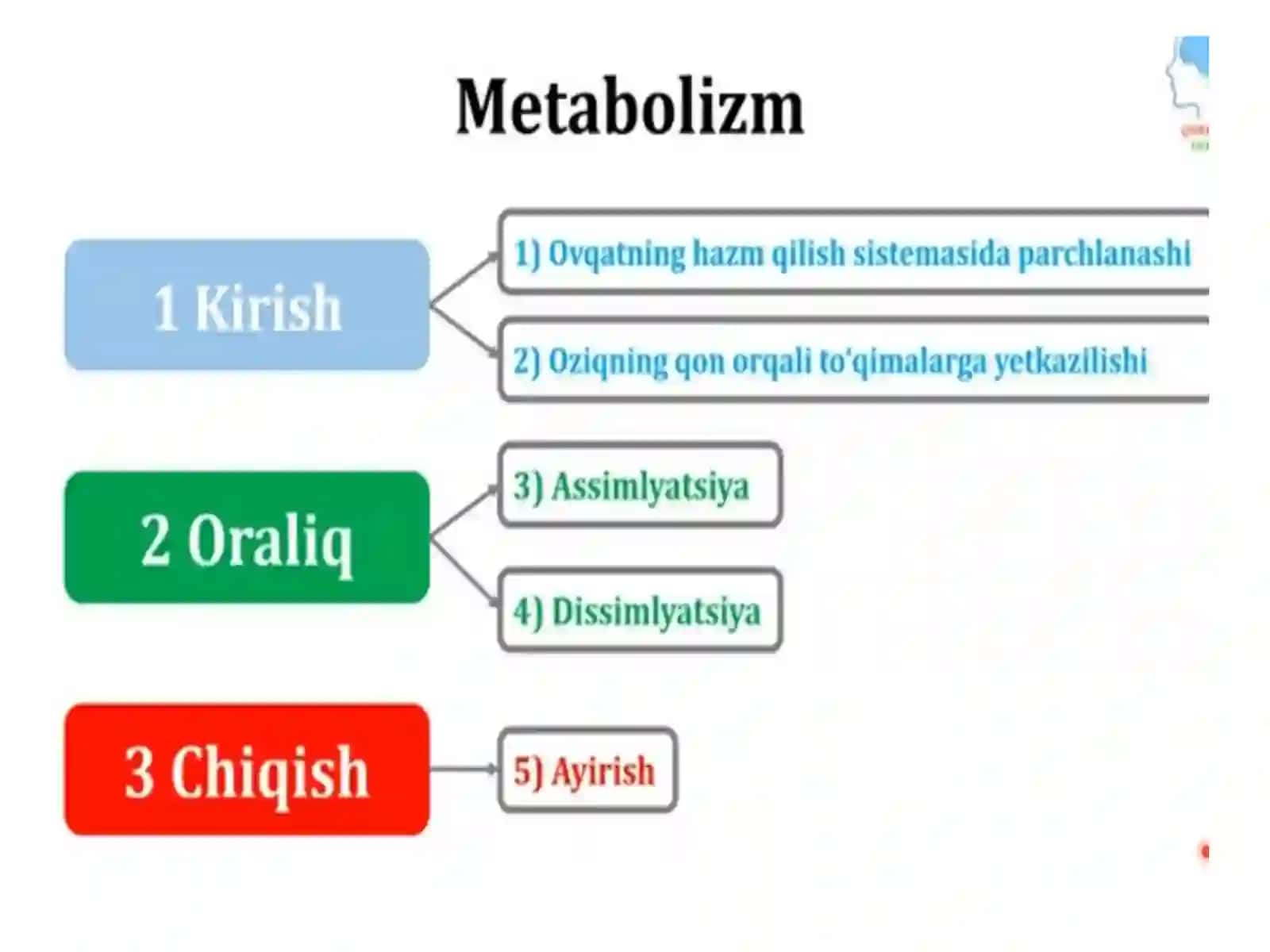 Organizmda modd va energiya almashinuvi fiziologikasoslari 3