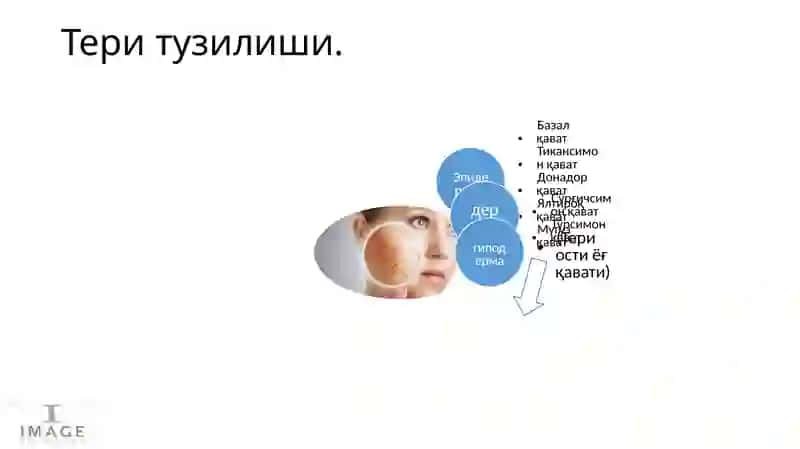 Дерматозларнингумумийклиникбелгиларивапатоморфологияси 3