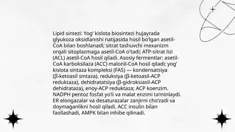 Lipid sintezi va transporti 3