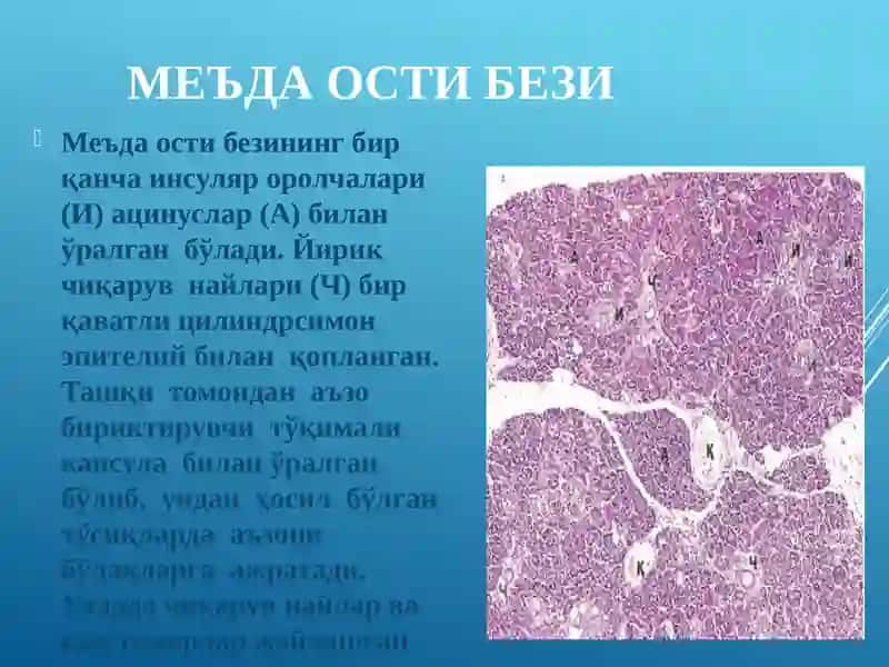 ЖИГАР.МЕЪДА ОСТИ БЕЗИ 3