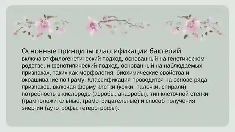 Классификация, таксономия и номенклатура бактерий. Определитель «Бёрджи». Варианты внутри видов (серовар, хемовар, фаговар, ферментовары и др.), которые не включены в официальную классификацию бактерий, но применяются на практике. 3