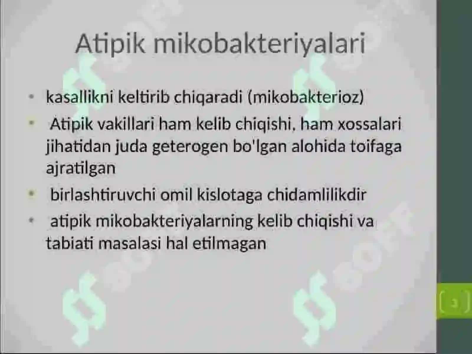DI_24/03-guruhtalabasi 3