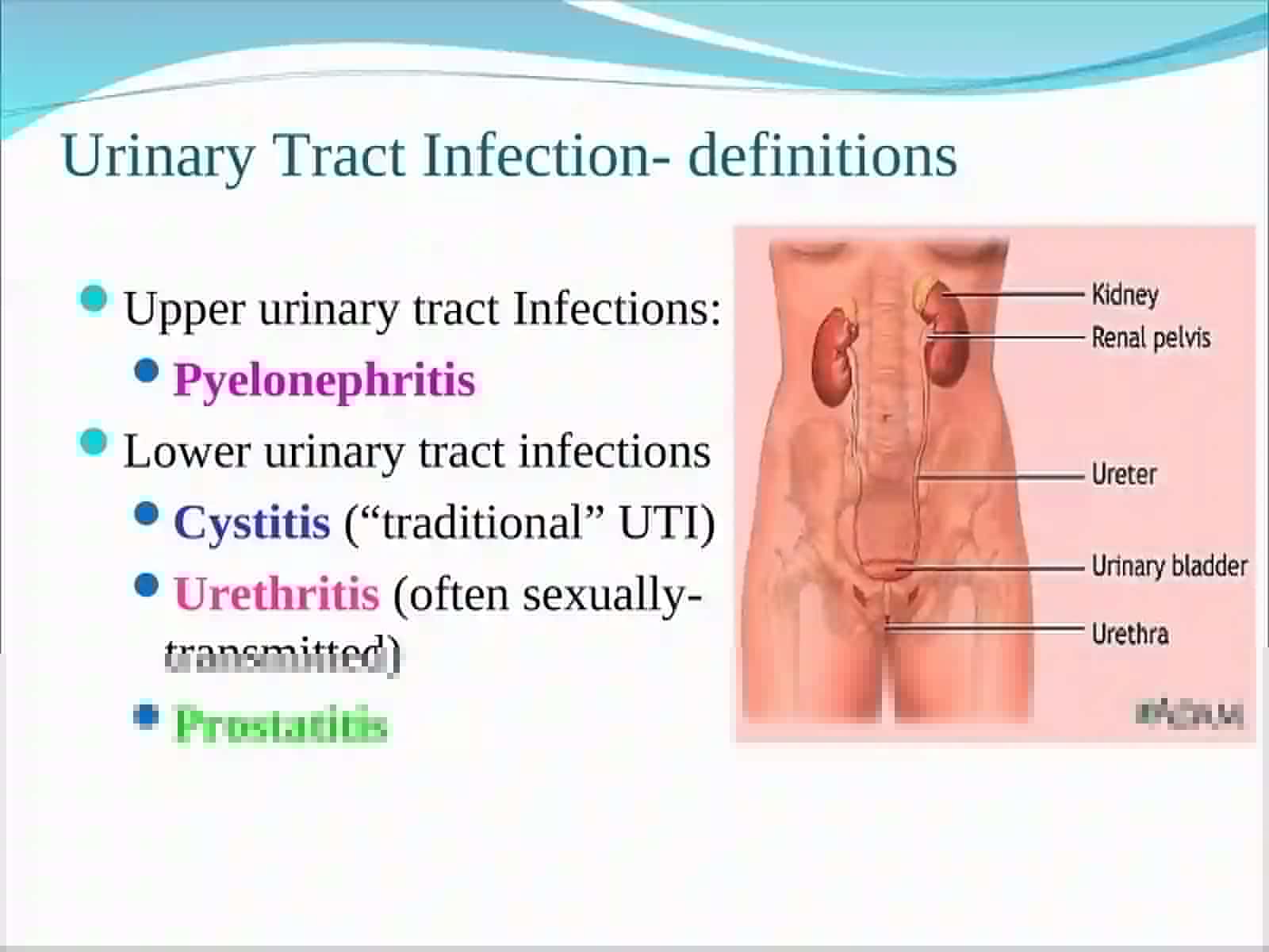 Urinary Tract Infection- definitions 3