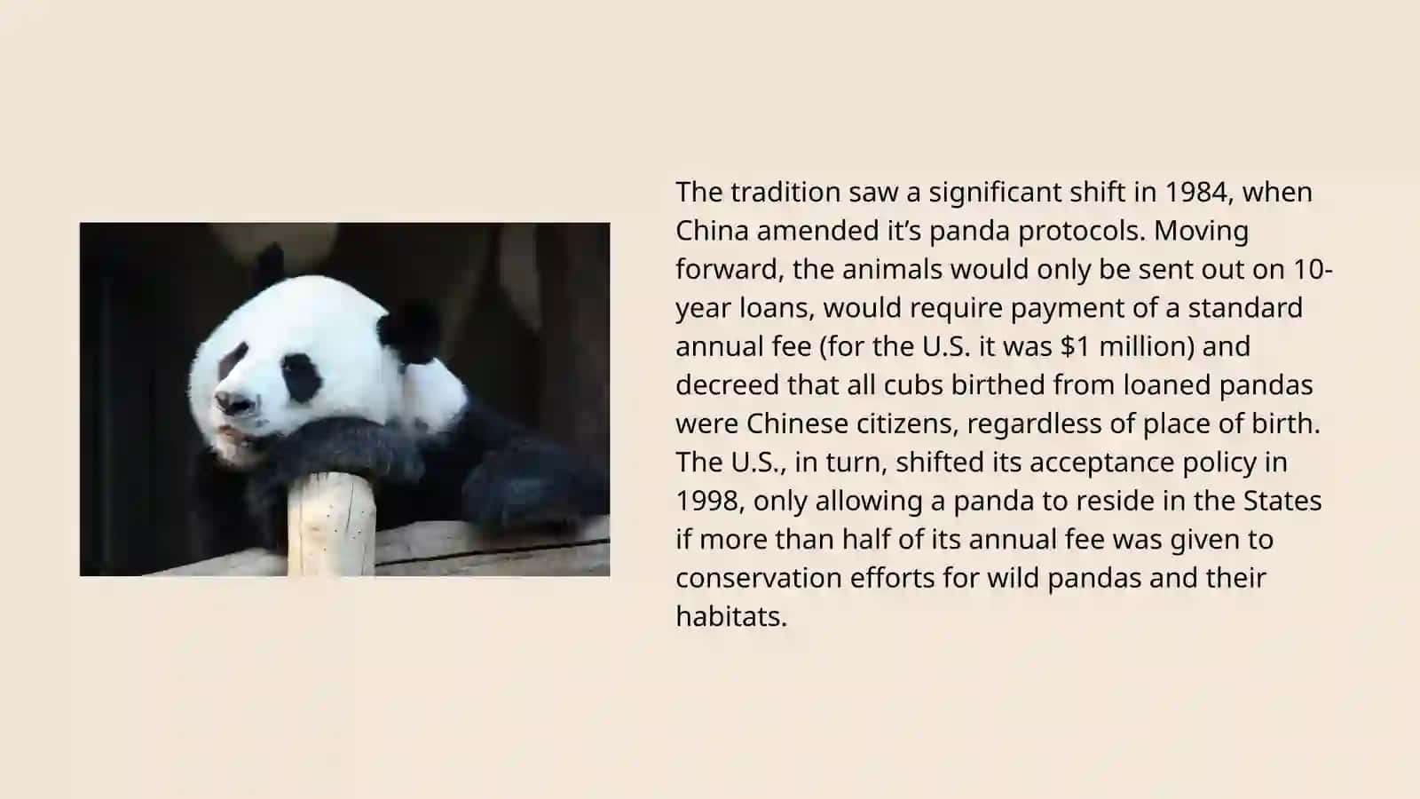 Panda Diplomacy 3
