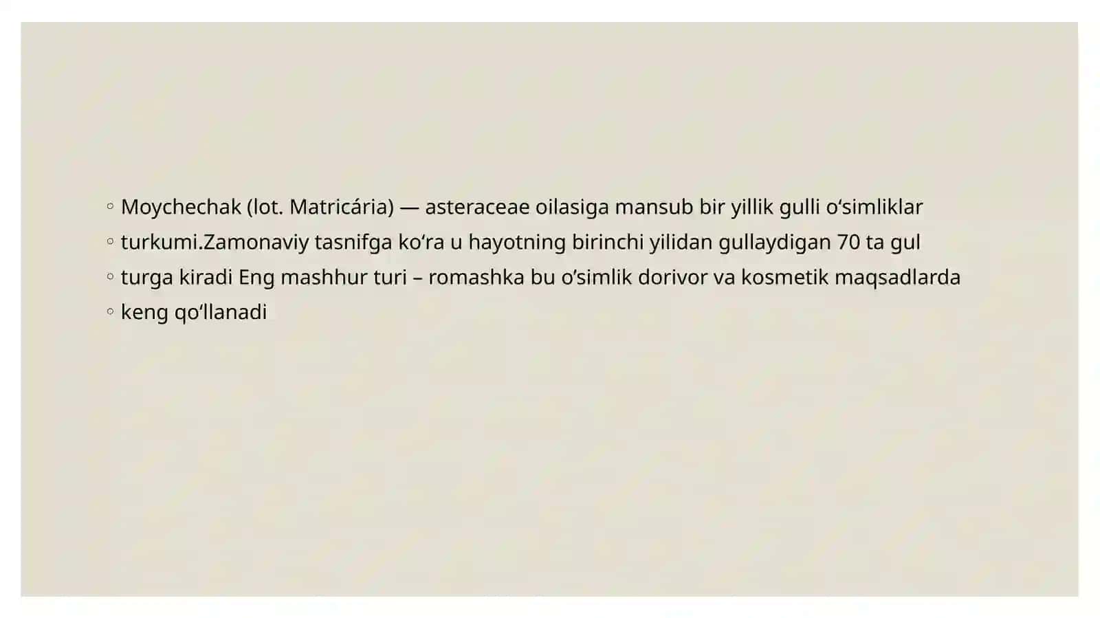 Moychechak - Romashka 3