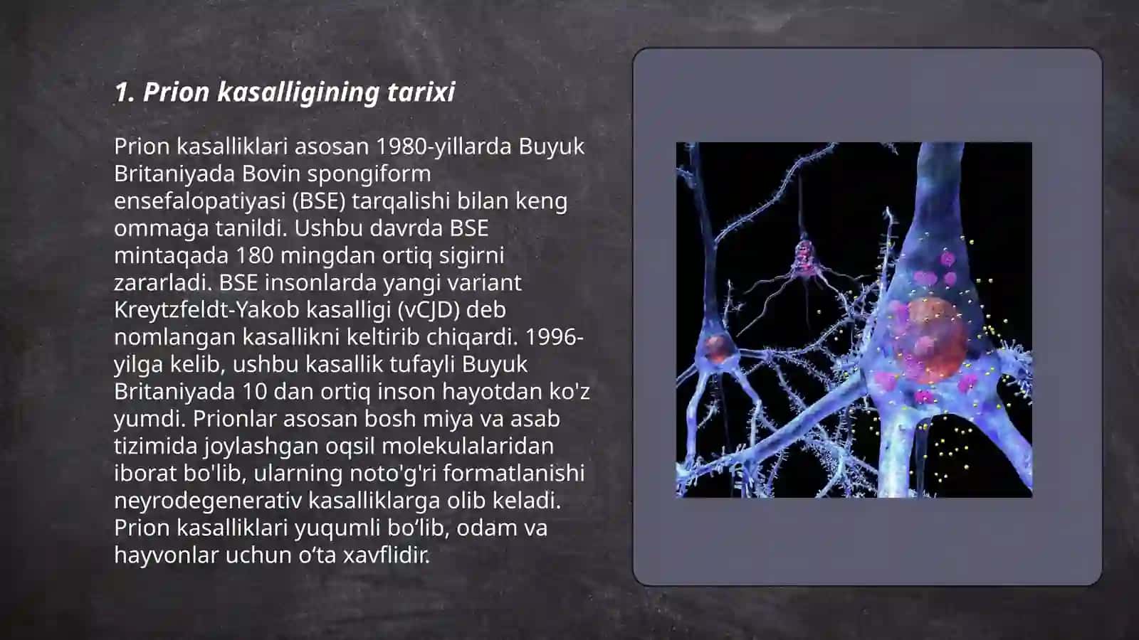 Prion kasalligi 3