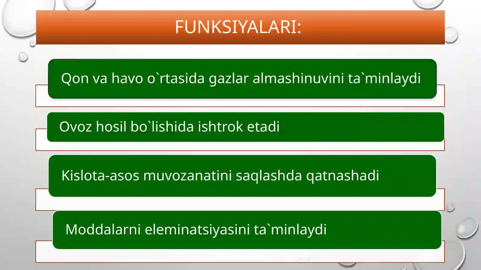 burunbo`shlig`I 3