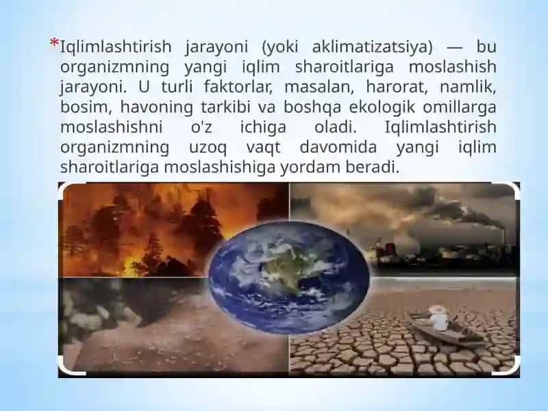 Manzarali o‘simliklarni iqlimlashtirish 3