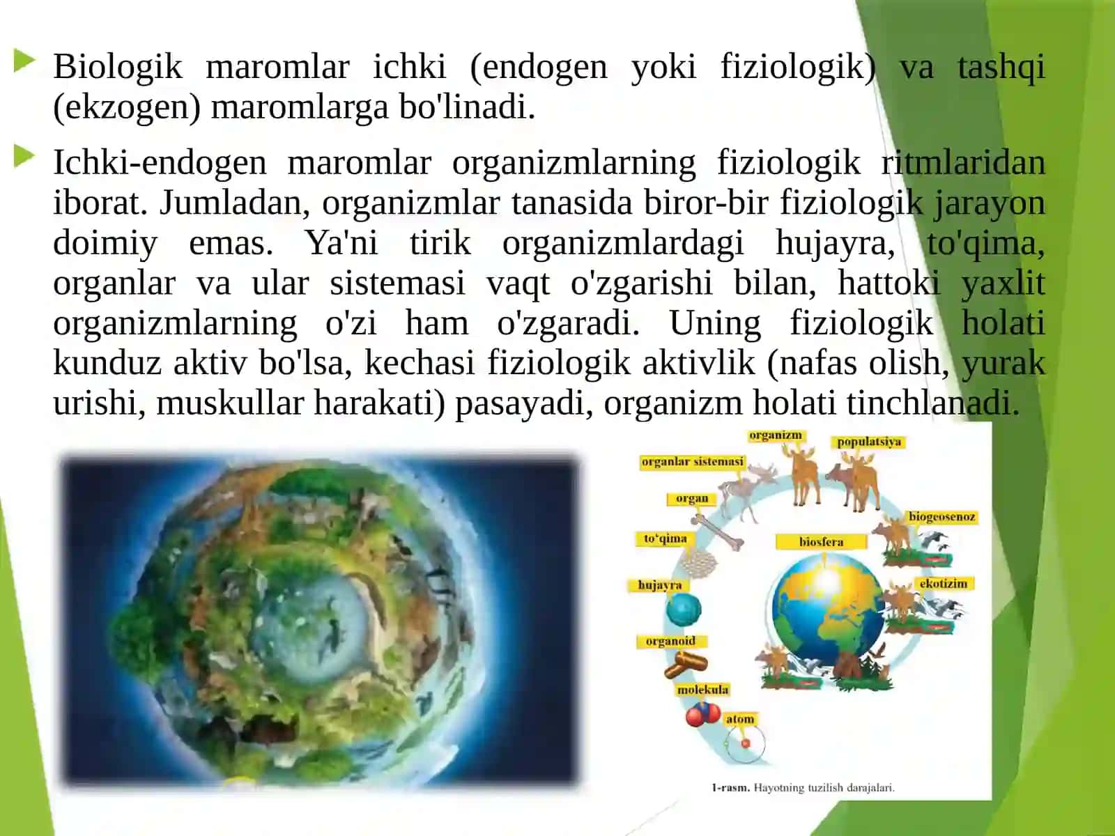 Biologik ma'romlar 3