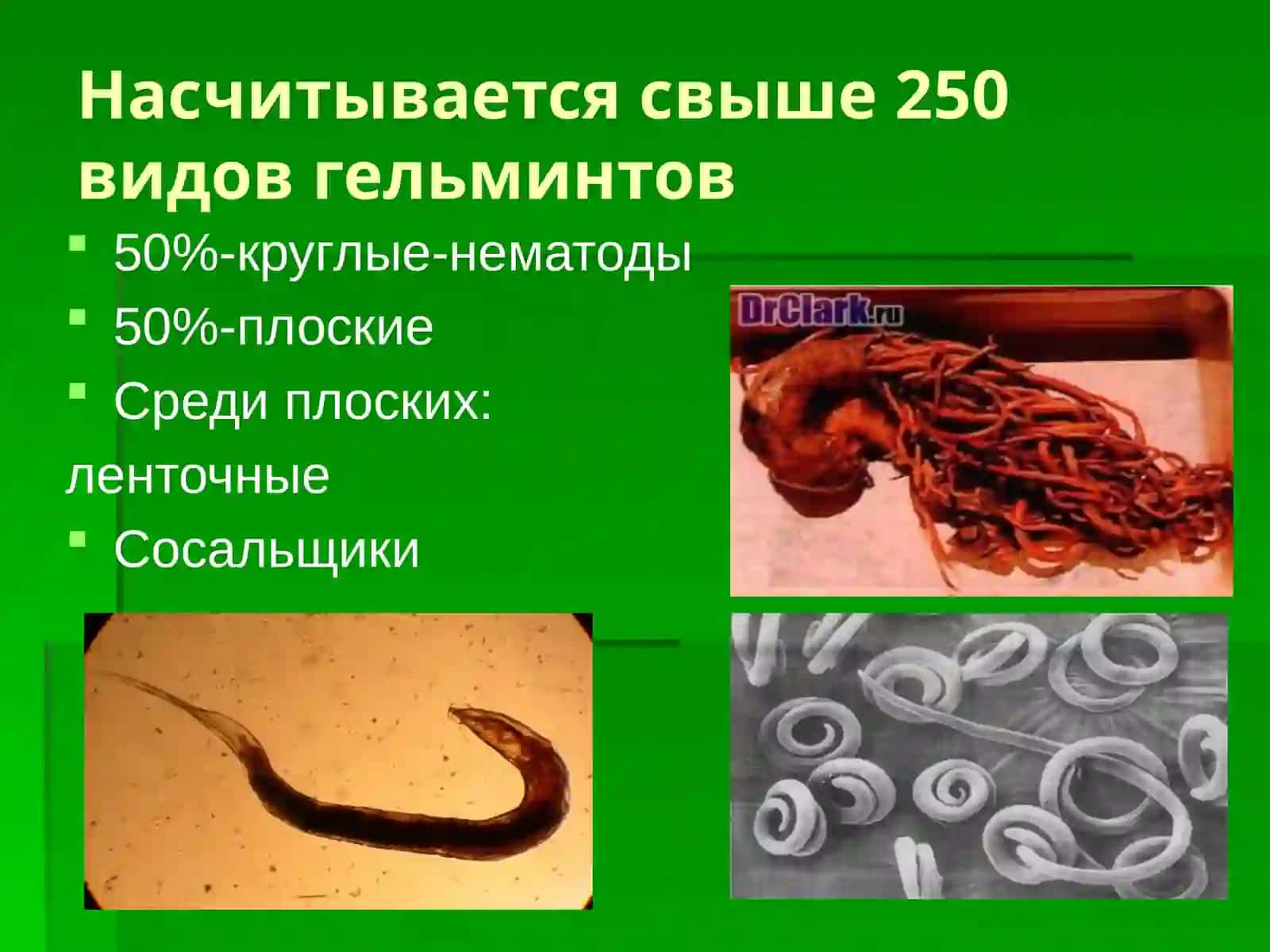 Гельминтозы у детей 3