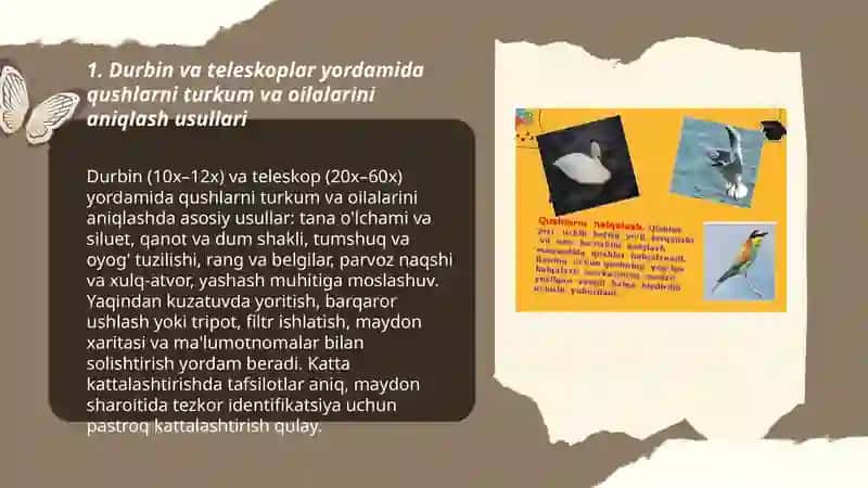 Durbin va teleskoplar yordamida qushlarni turkum va oilalarini aniqlash usullari 3